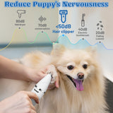 MALLMALL6 Dog Cat Grooming Clippers Kit, 2 Speed Rechargeable 4 in 1 Pet Hair Clipper with Guards, Low Noise Cordless Electric Paw Trimmer Nail Grinder Multifunctional Shaver for Dogs Cats White