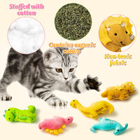 MALLMALL6 5Pcs Dinosaur Catnip Toys for Cat, Indoor Cat Chew Bite Bunny Kick Plush Catmint Pet Toys Supplies for Cat Lover Gifts, Interactive Cat Toy with Cute Expression for Pet Presents