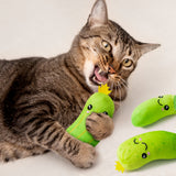 MALLMALL6 5Pcs Pickle Cucumber Catnip Toys for Cat, Indoor Cat Chew Bite Kick Plush Catmint Pet Toys Supplies for Cat Lover Gifts, Interactive Cat Toy with Cute Expression for Pet Presents