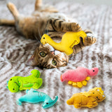 MALLMALL6 5Pcs Dinosaur Catnip Toys for Cat, Indoor Cat Chew Bite Bunny Kick Plush Catmint Pet Toys Supplies for Cat Lover Gifts, Interactive Cat Toy with Cute Expression for Pet Presents