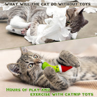 MALLMALL6 Catnip Toys for Cat - 5Pcs Christmas Pickle Catmint Interactive Cat Toy for Indoor Cats, Soft Plush with Santa Hat Cat Supplies, Kitten Teething Chew Toy Set, Pet Xmas Gifts for Cat Lover
