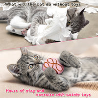MALLMALL6 Catnip Toys for Cat - 5Pcs Chocolate Truffles Catmint Interactive Teething Chew Kick Cat Toy for Indoor Kitten, Soft Plush Candy Pet Supplies, Pet Birthday Gifts for Kitten Lover