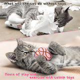 MALLMALL6 Catnip Toys for Cat - 5Pcs Chocolate Truffles Catmint Interactive Teething Chew Kick Cat Toy for Indoor Kitten, Soft Plush Candy Pet Supplies, Pet Birthday Gifts for Kitten Lover