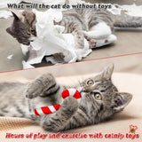 MALLMALL6 6Pcs Christmas Candy Cane Catnip Toys Gift for Cat, Indoor Cat Chew Bite Kick Plush Catmint Pet Toys Supplies for Cat Lover Xmas Gifts, Cute Interactive Cat Toy for Pet Presents