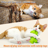 MALLMALL6 5Pcs Dinosaur Catnip Toys for Cat, Indoor Cat Chew Bite Bunny Kick Plush Catmint Pet Toys Supplies for Cat Lover Gifts, Interactive Cat Toy with Cute Expression for Pet Presents