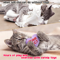 MALLMALL6 5Pcs Valentine’s Day Conversation Heart Candy Catnip Toys for Cat, Catmint Interactive Cat Toy for Indoor Cats, Soft Plush Pet Sweetheart Gift Supplies, Kitten Teething Chew Kick Toy Set
