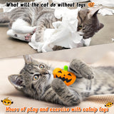 MALLMALL6 Catnip Toys for Cat - 5Pcs Halloween Pumpkin Jack O Lantern Catmint Interactive Cat Toy for Indoor Cats, Soft Plush Orange Cat Supplies, Kitten Teething Chew Toy Set, Pet Gifts for Cat Lover