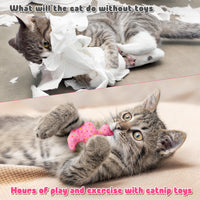 MALLMALL6 5Pcs Frosted Animal Cookie Catnip Crinkle Paper Sound Toys Gift for Cat, Catmint Teething Chew Kick Interactive Toy for Indoor Cats, Soft Plush Candy Pet Presents Supplies for Kitten Lover