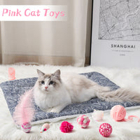 MALLMALL6 10Pcs Cat Toy Set Interactive Cat Toys Pack Including Feather Teaser Wand Cat Springs Mice Crinkle Balls and Pet Bell Balls, Puzzle Toys for Indoor Cats Gift (Pink)