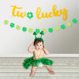 MALLMALL6 Two Lucky Banner 2nd Birthday Banners St. Patrick's Day Party Decoration Saint Patty's Day 2 Year Old Pre-Strung Glittery Shamrock Clover Garland Photo Prop for Boys Girls Outdoor Indoor